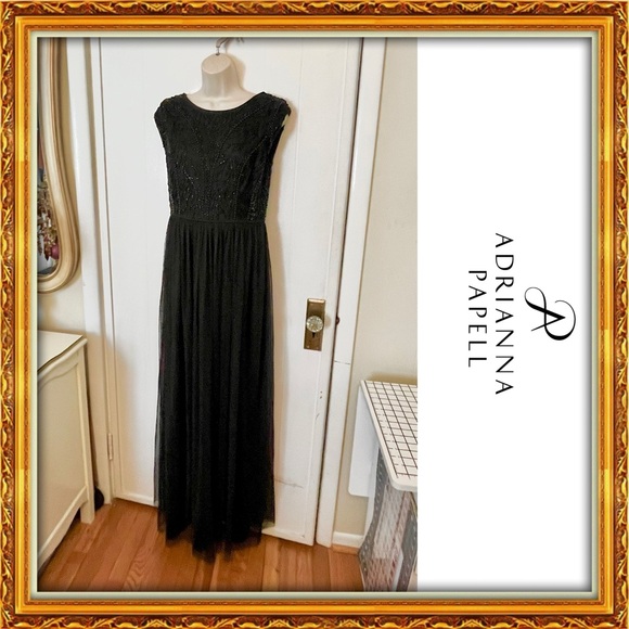 Adrianna Papell Dresses & Skirts - NWT | Adrianna Papell Beaded Tulle Gown!!